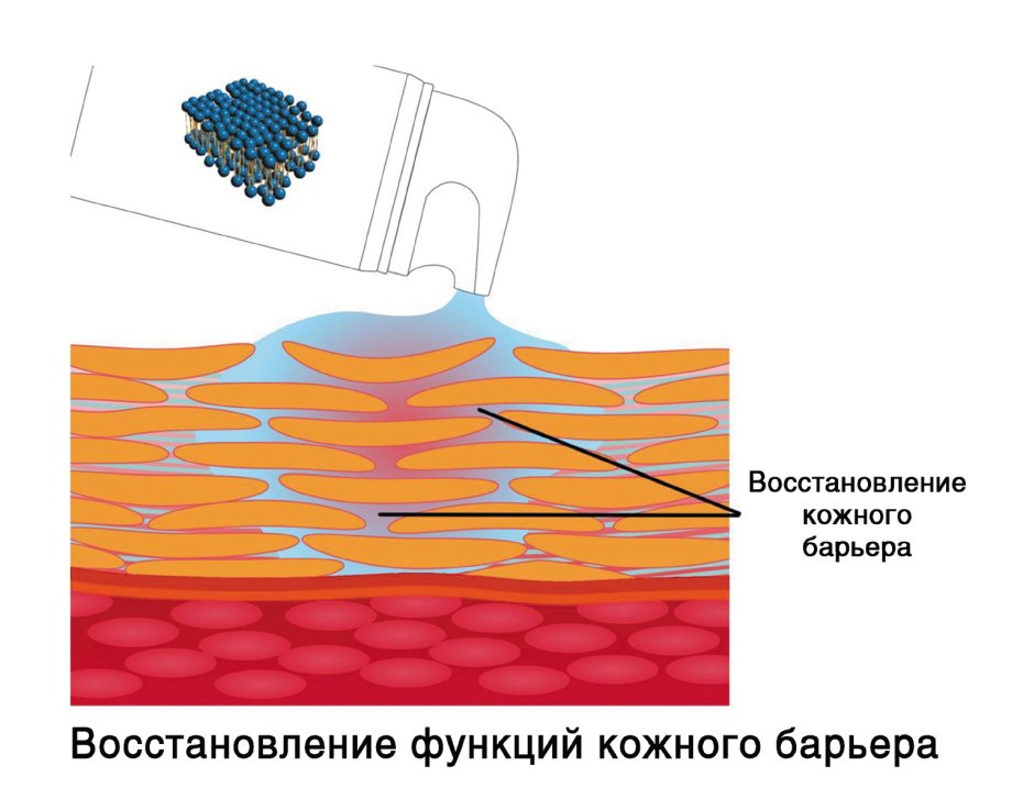 Корнеотерапия